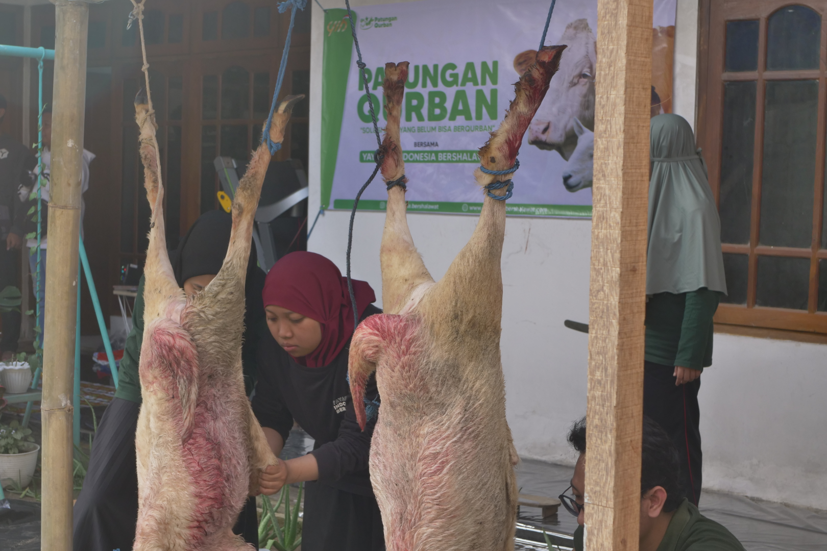 Patungan Qurban 2022